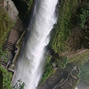 Meet your Posher, Mirna